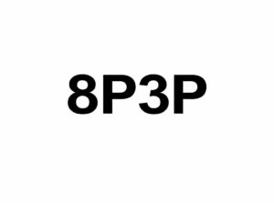 8P3P Logo-White